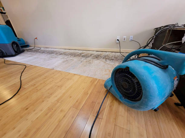 Professional Water Damage Repair technician working in Laguna Hills, CA